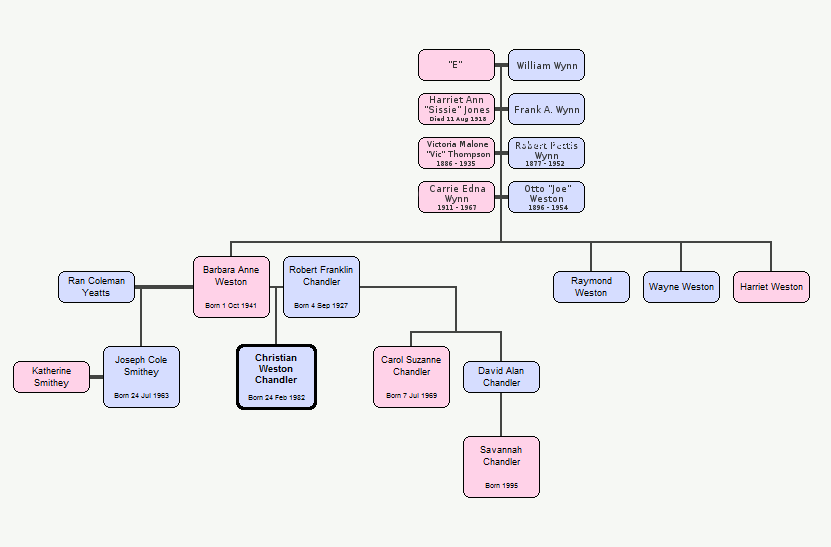 Harvey Powers updated family tree.gif