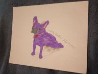 Purple bulldog.jpg