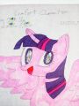 OfficialCWCmart - Twilight Sparkle - Favorite Character Portraits by JCWCSP2.jpg