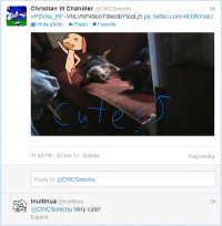 Twitter20June201301.png