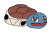 Yawning squirtle oh exploitable.png
