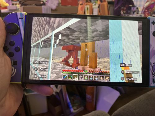 X - Chris's survival Minecraft world on the Nintendo Switch June 16, 2024.jpg