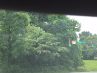 Tree with monsters face.png