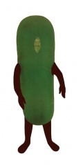 pickle mascot cwcki sonichu