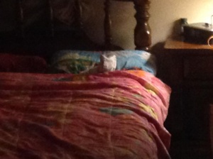 Bedsheet cat.jpg