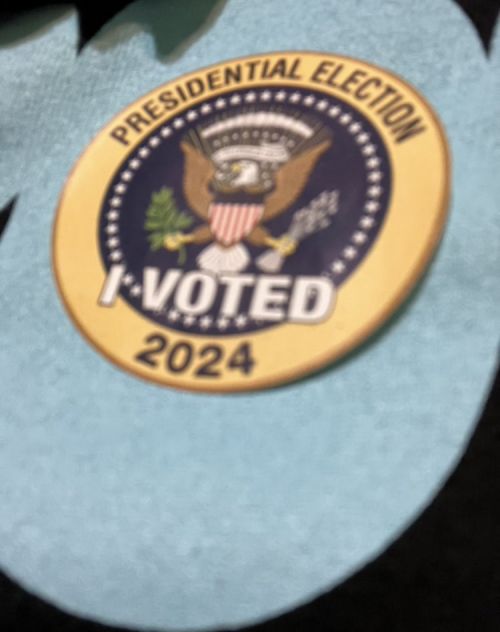 X - I VOTED 2024.jpeg