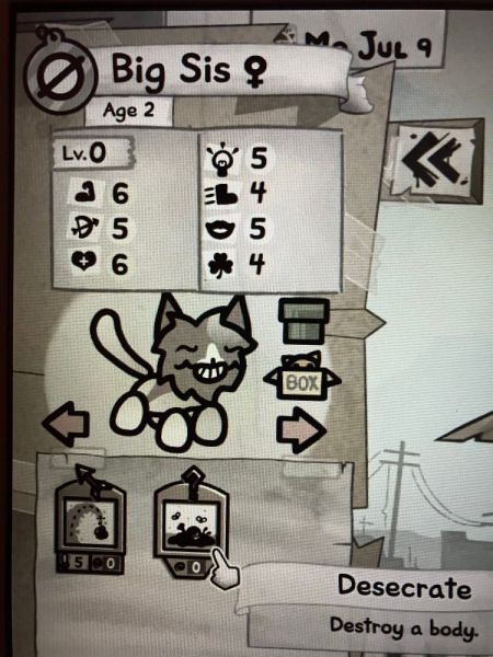 File:BigSis cat 1.jpg