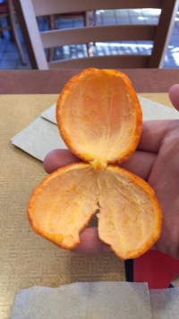 Orange ghost.jpg