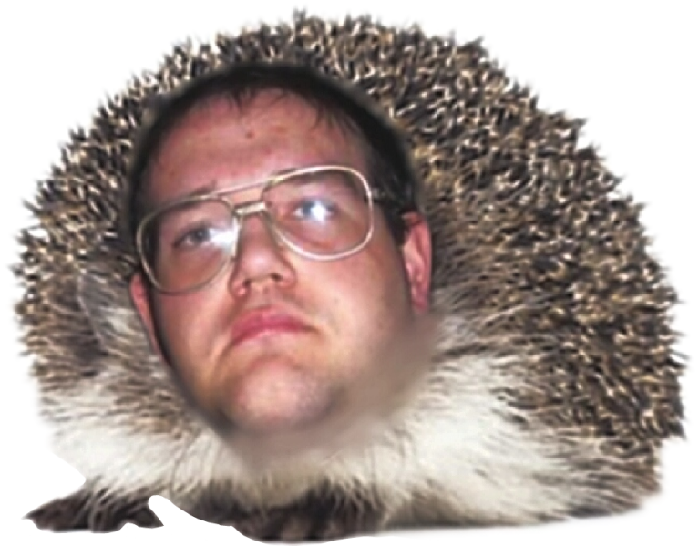 File:ChrisHedgehog.png