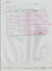 Manchester High Leaks - CWCki