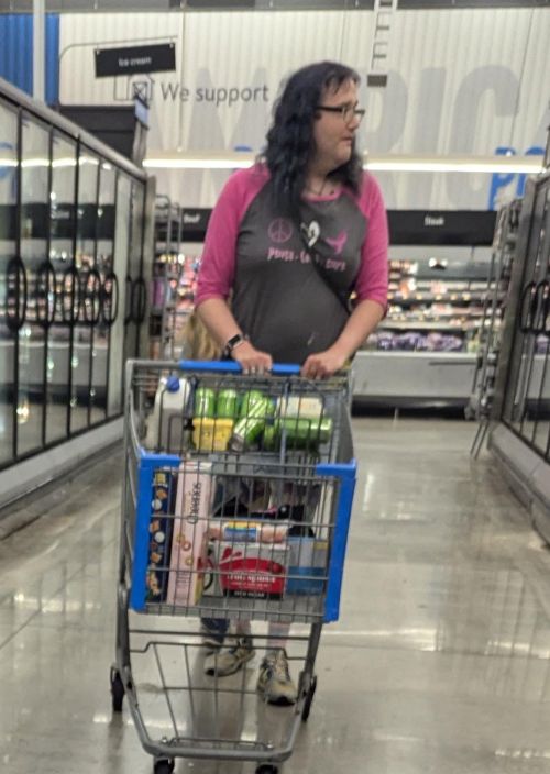 Walmart 12Jul2024 2 (cropped).jpg