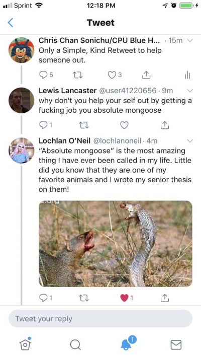 20 01 19 mongoose.jpeg