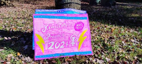X - 2 November 2024 Kamala Harris sign4.jpeg