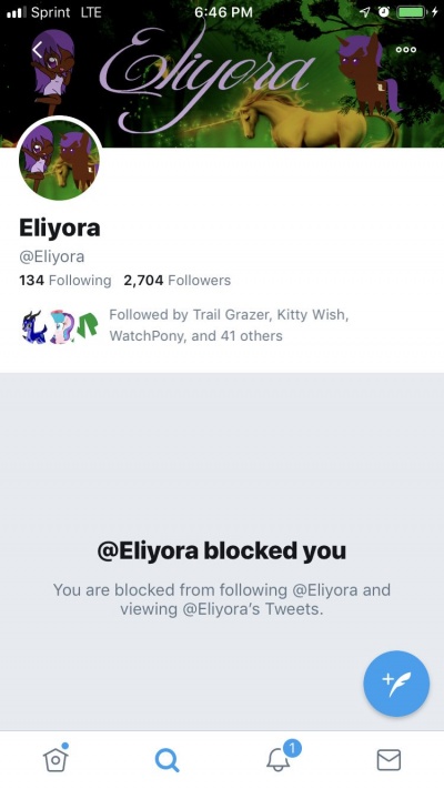 EliyoraBlock.jpg