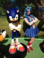 Sonic Boom 14.jpg
