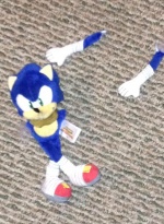 SonicNoArms (pic only).jpg
