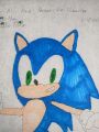 OfficialCWCmart - Sonic the Hedgehog - Favorite Character Portraits by JCWCSP3.jpg