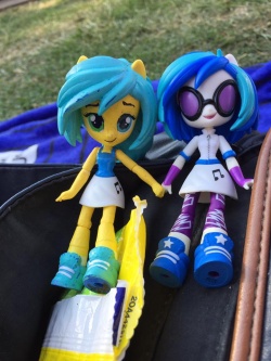 Cwc and vinyl dolls at Cville Pride 2016.jpg