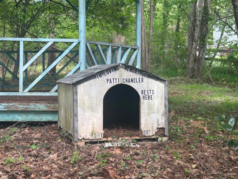 File:PattiDoghouseApr2025.jpg