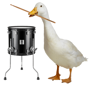 DuckFoundTomDrum.png